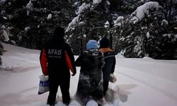 Sahte ihbar alarmı: AFAD ekipleri karda 4 saat yürüdü