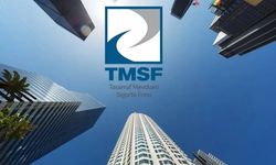 Süper lig ekibine kayyum: 9 şirkete birden el konuldu