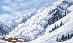 Van Bahçesaray’da çığ tehlikesine karşı uyarı