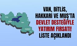 Van, Bitlis, Hakkari ve Muş'ta devlet desteğiyle yatırım fırsatı! Liste açıklandı