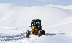 Van’da karla mücadele sürüyor! 156 mahalle ve mezra yolu kapalı