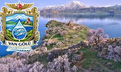 Van Gölü için çağrı: Alan Başkanlığı kurulmalı