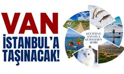 Van İstanbul’a taşınacak!