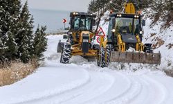 Van’da 296 yerleşim yerinin yolu kapalı