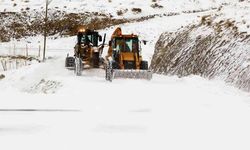 Van’da 36 yerleşim yerinin yolu kapalı