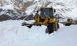 Van’da 405 yerleşim yolu ulaşıma kapalı