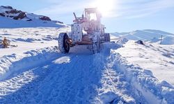 Van’da 42 yerleşim yerinde karla mücadele sürüyor