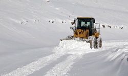 Van’da 52 yerleşim yerinin yolu kapalı