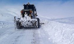 Van’da 63 yerleşim yerinin yolu kapalı