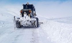 Van’da 7 mahalle ve 32 mezra yolu kapalı