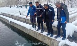 Van’da alabalık üretim tesislerine sıkı denetim