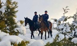 Van’da Atlı Jandarmadan kaçak avcılığa geçit yok