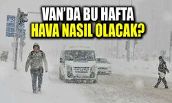Van’da bu hafta (5-11 Ocak) hava nasıl olacak?