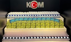 Van’da kaçakçılıkla mücadelede çok sayıda kaçak ürün ele geçirildi