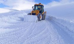 Van’da kapalı yol sayısı 405’ten 236’ya düşürüldü