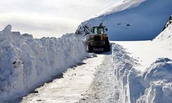 Van’da kardan kapanan yol sayısı açıklandı