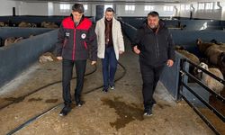 Van’da kırsal kalkınmaya yerinde inceleme