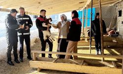 Van’da ‘köyde yaşamak için bir sürü neden var’ projesi denetimi