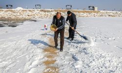Van’da kuşlar için doğaya yem bırakıldı