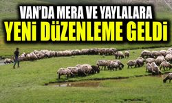 Van’da mera ve yaylalara yeni düzenleme geldi
