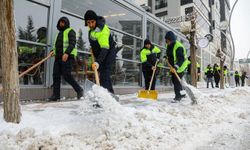 Van’da tuzlama ve küreme çalışmaları sürüyor