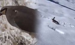 Van’da yasadışı avlanmaya geçit yok! Sosyal medya paylaşımı ele verdi