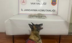 Van’da yol kontrolünde esrar ele geçirildi!