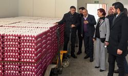 Van’da yumurta üretim tesisine inceleme