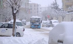 Van’daki belediyelerden araç sürücülerine uyarı! Park etmeyin…