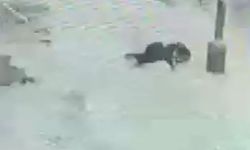 Vangölü Aktivistleri Derneği: Ayşe İder ihmalin kurbanı