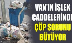 Van’ın işlek caddelerinde çöp sorunu büyüyor