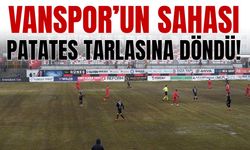 Vanspor'un sahası patates tarlasına döndü!