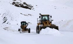 Yoğun kar yağışı Van’da ulaşımı durdurdu: 15 mahalle yolu kapalı