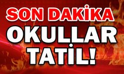 Van Valiliği'nden son dakika açıklaması! Okullar tatil edildi