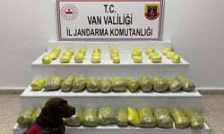 Başkale'de zehir tacirlerine ağır darbe!