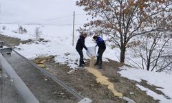 Erciş’te yaban hayvanları için doğaya yem bırakıldı