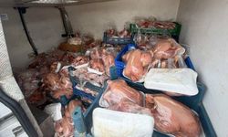 Van'da kaçak tavuk ürünleri ele geçirildi