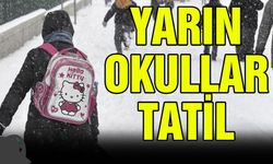 Van’da dört ilçede okullar tatil edildi! Yoğun kar ve buzlanma nedeniyle 1 gün ara