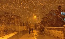 Van'da yoğun kar yağışı etkili oluyor!