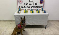 Tuşba’da yüzlerce kişiyi zehirleyeceklerdi!