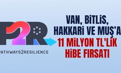 Van, Bitlis, Hakkari ve Muş’a 11 milyon TL'lik hibe fırsatı
