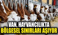 Van, hayvancılıkta bölgesel sınırları aşıyor