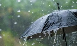 Van’da hava alarm veriyor! Kuvvetli yağış bekleniyor