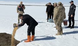 Van Özalp’ta doğadaki canlara kış desteği