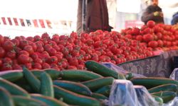 Van'da 04 Şubat Hal Fiyatları: Meyve ve Sebze Fiyatları Ne Kadar?