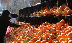 Van'da 06 Şubat Hal Fiyatları: Meyve ve Sebze Fiyatları Ne Kadar?