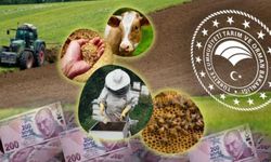 Van’da 2025 yılı temel ve planlı üretim desteği askı icmalleri yayınlandı