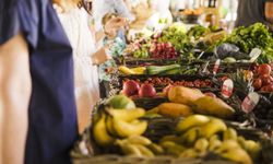 Van'da 24 Şubat Hal Fiyatları Meyve ve Sebze Fiyatları Ne Kadar?