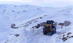 Van’da 54 yerleşim yerine ulaşım sağlanamıyor