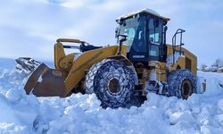 Van’da 97 mahalle ve mezraya ulaşılamıyor